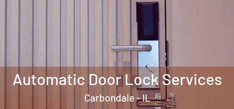 Automatic Door Lock Services Carbondale - IL