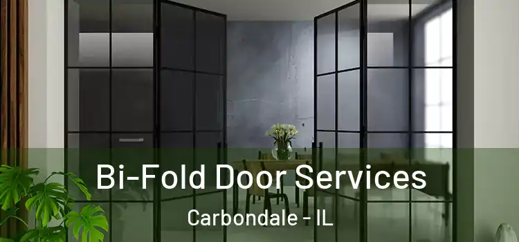  Bi-Fold Door Services Carbondale - IL