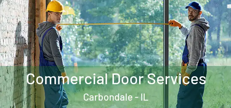 Commercial Door Services Carbondale - IL