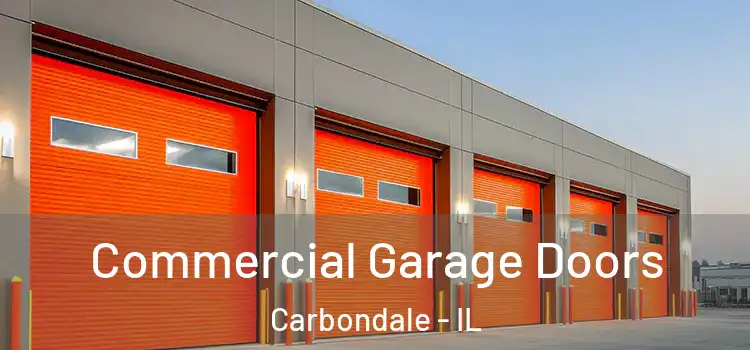  Commercial Garage Doors Carbondale - IL