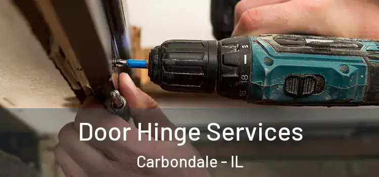Door Hinge Services Carbondale - IL