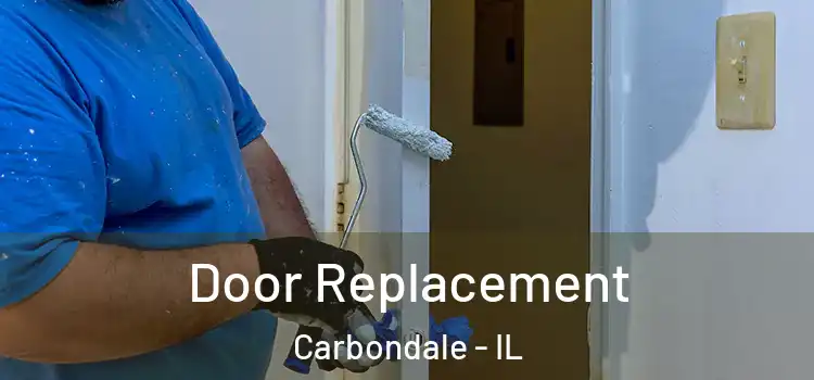 Door Replacement Carbondale - IL