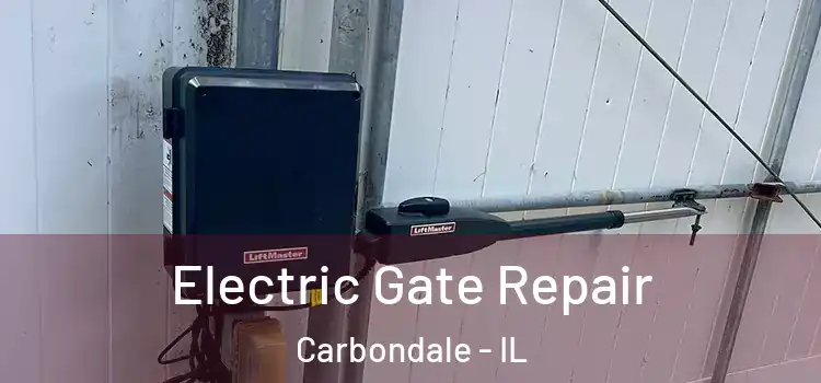 Electric Gate Repair Carbondale - IL