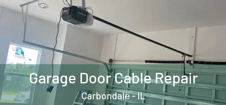  Garage Door Cable Repair Carbondale - IL