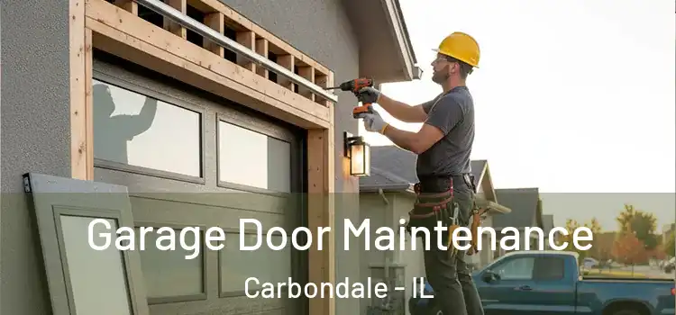 Garage Door Maintenance Carbondale - IL