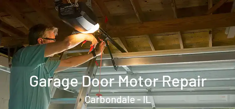  Garage Door Motor Repair Carbondale - IL