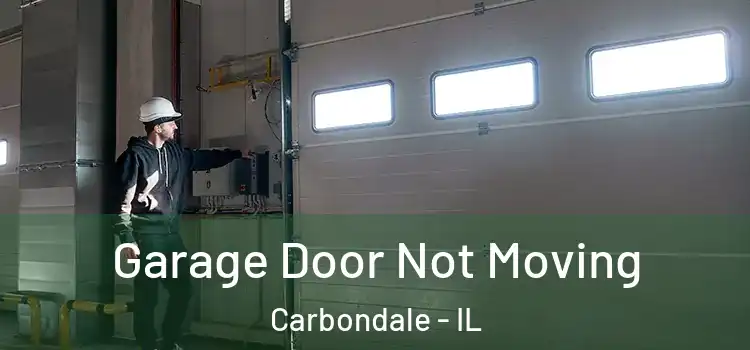  Garage Door Not Moving Carbondale - IL