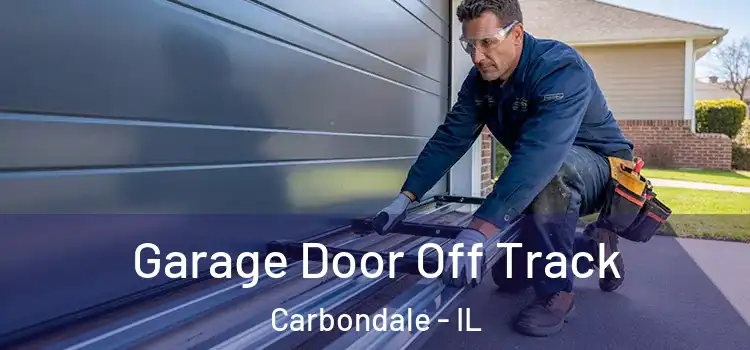  Garage Door Off Track Carbondale - IL