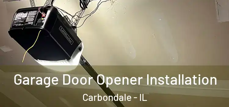  Garage Door Opener Installation Carbondale - IL