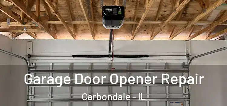  Garage Door Opener Repair Carbondale - IL