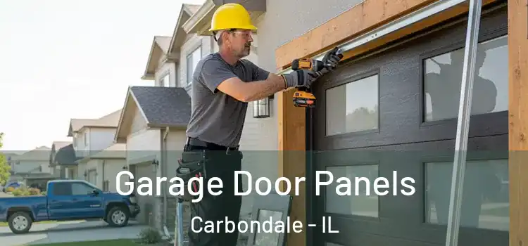  Garage Door Panels Carbondale - IL