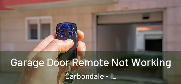  Garage Door Remote Not Working Carbondale - IL