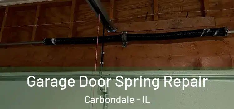  Garage Door Spring Repair Carbondale - IL