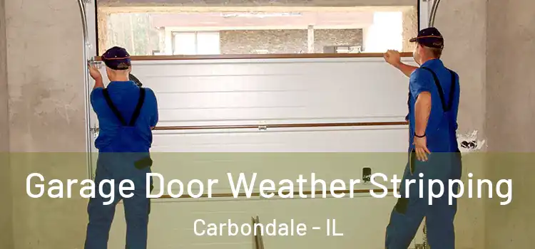  Garage Door Weather Stripping Carbondale - IL