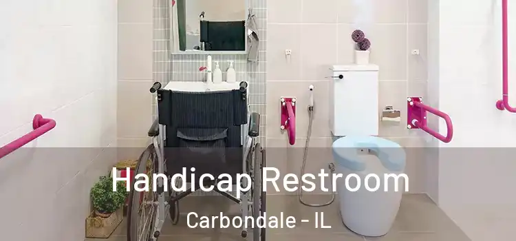 Handicap Restroom Carbondale - IL