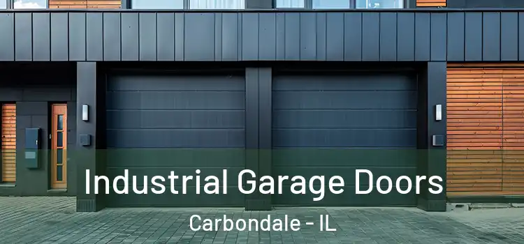  Industrial Garage Doors Carbondale - IL
