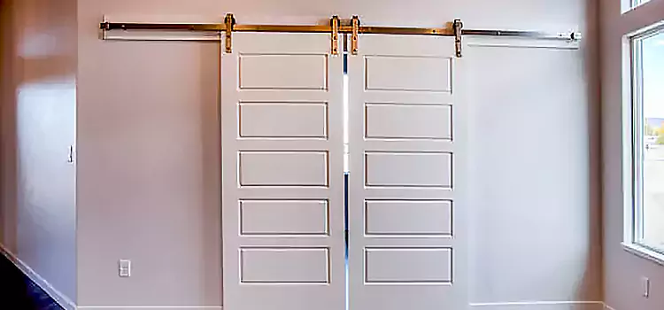 Glass Barn Door with Installation Hardware Kit Carbondale