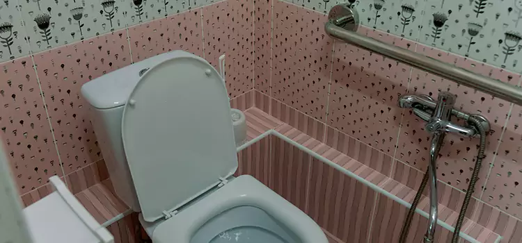 Meeting Diverse Needs With Accessible Restroom Solutions in Carbondale, IL