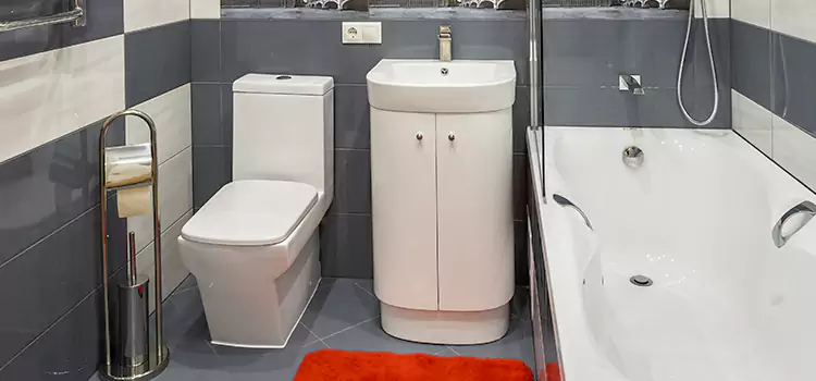 Hansgrohe Shaving Mirror Carbondale