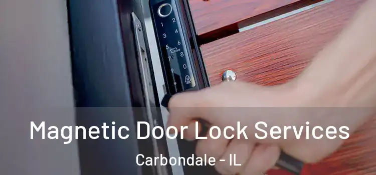  Magnetic Door Lock Services Carbondale - IL