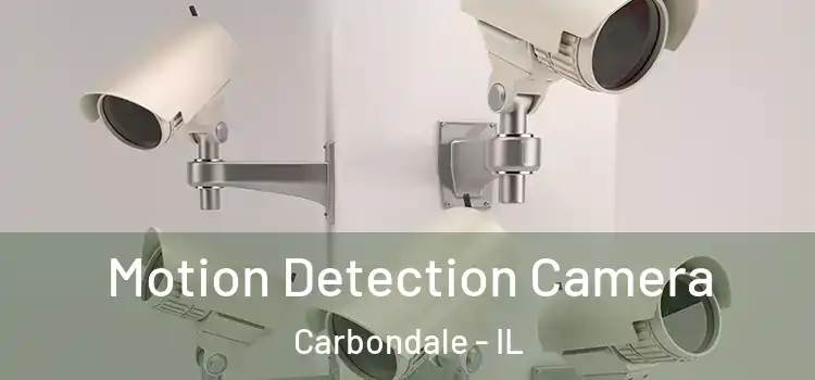  Motion Detection Camera Carbondale - IL