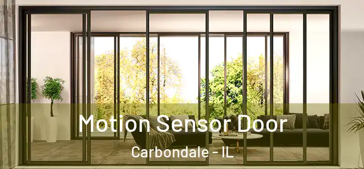 Motion Sensor Door Carbondale - IL