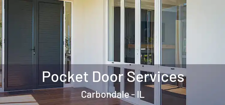  Pocket Door Services Carbondale - IL