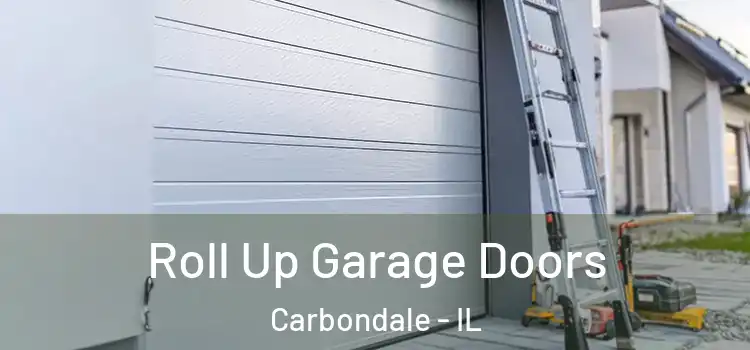  Roll Up Garage Doors Carbondale - IL
