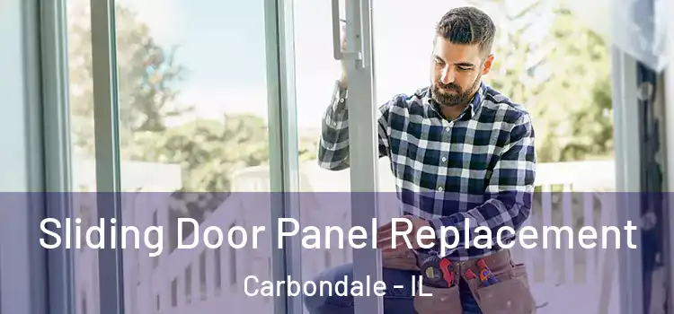  Sliding Door Panel Replacement Carbondale - IL