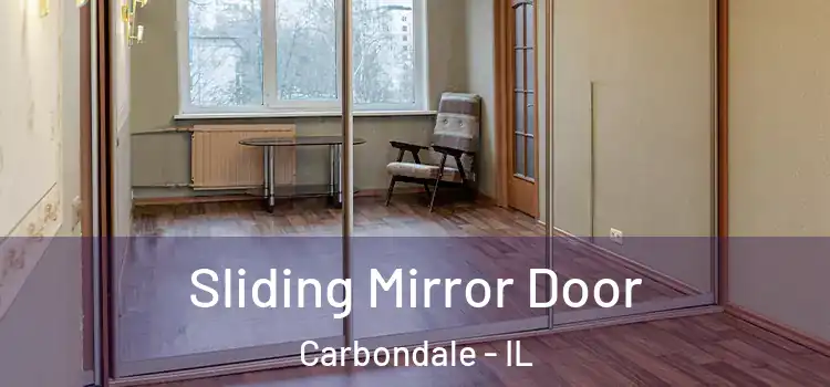  Sliding Mirror Door Carbondale - IL