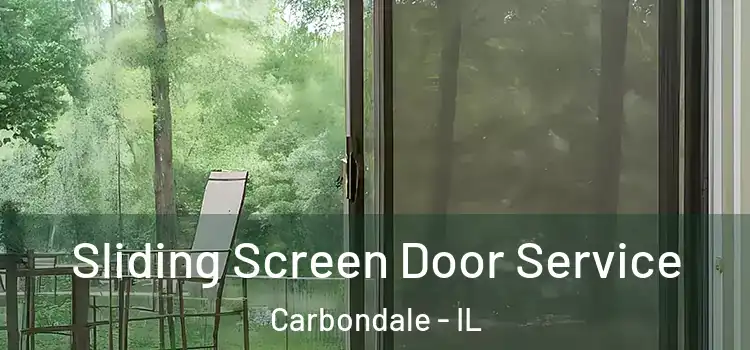 Sliding Screen Door Service Carbondale - IL