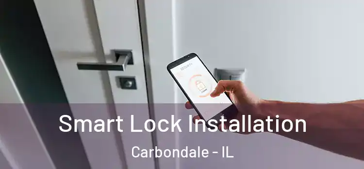 Smart Lock Installation Carbondale - IL